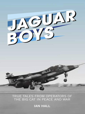 cover image of Jaguar Boys